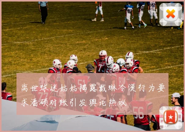 离世球迷姑姑揭露戴琳冷漠行为要求潘硕对账引发舆论热议