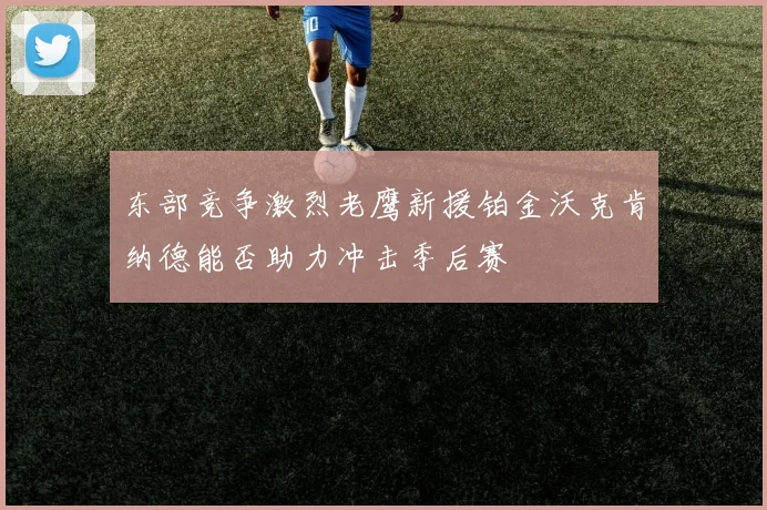 东部竞争激烈老鹰新援铂金沃克肯纳德能否助力冲击季后赛