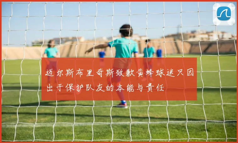 迈尔斯布里奇斯致歉黄蜂球迷只因出于保护队友的本能与责任