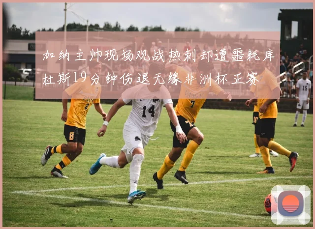 加纳主帅现场观战热刺却遭噩耗库杜斯19分钟伤退无缘非洲杯正赛