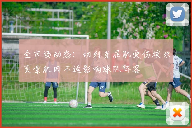 全市场动态：切利克屈肌受伤埃尔莫索肌肉不适影响球队阵容