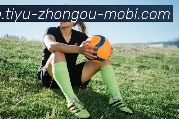 中欧体育平台生态图