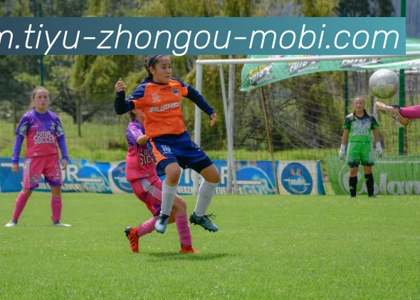 中欧体育全站App