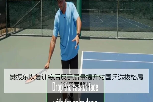 樊振东恢复训练后反手质量提升对国乒选拔格局的深度解析 | ZOTYSPORTS